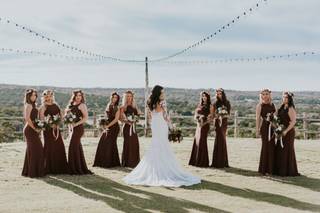 Dove Ridge Vineyard - 97