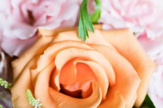 Fleur De Lis Florist - 66