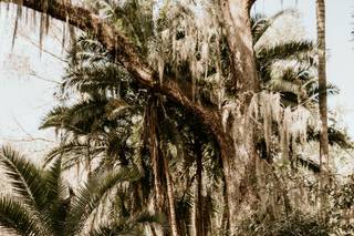 Shelbi Ann Imagery - 10