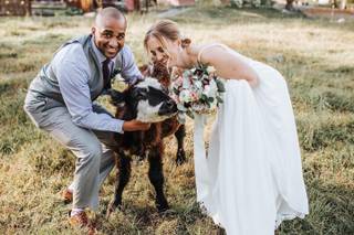Carolyn Jorgensen Photography - 37