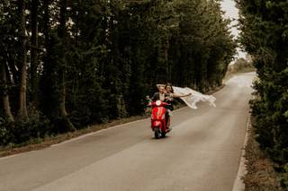 Jeff Hall Photography - 40