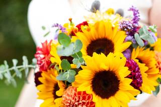 Angela Laurienzo Photography - 7