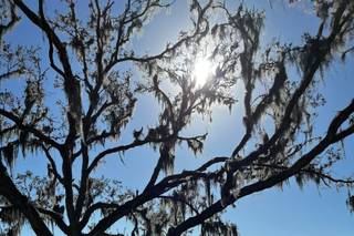 Florida Rustic Barn Weddings - 66