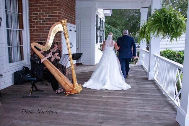 Laura Byrne Harpist - 4