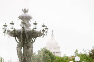 Ann-Marie VanTassell Photography - 15