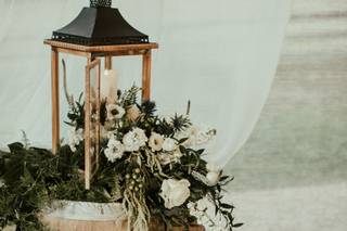 Stargazers Designs - 44