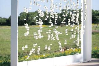 Bird Dog Wedding - 18