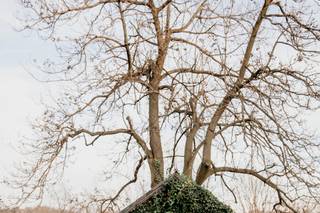 Vince Ha Photography - 99