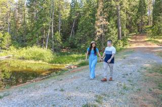 Lake and Wood - 65