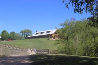 The Willows Farm - 35