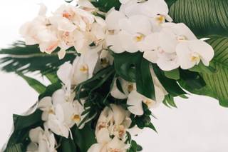 Floral Fantasy - 31