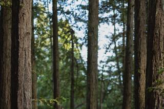 Loose Tie Photography - 65