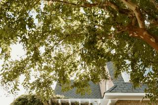 Leah Miessler Photography - 62