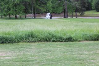 The Farm at Rocky Top - 6