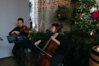 Tribute String Quartet - 8