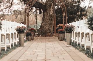 Pine Peaks Event Center - 44
