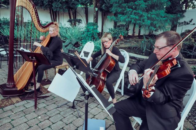 Dolce DaVita Strings - 3