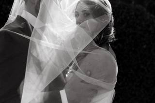 Shelly Anderson Photography - 9