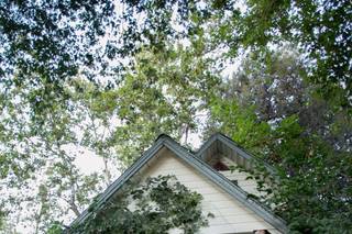 The HomeStead in Oak Glen - 46
