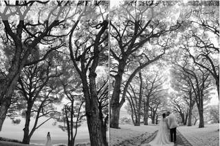 Joey Ikemoto Photography - 35