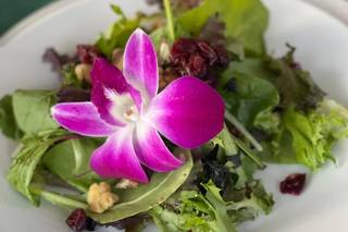 Helga's Caterers - 16