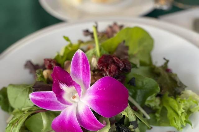 Helga's Caterers 1