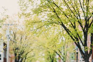 Brad Barnwell Photography - 29