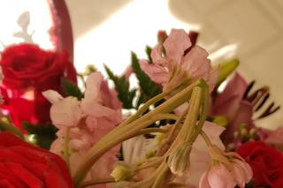 Park Square Florist - 6