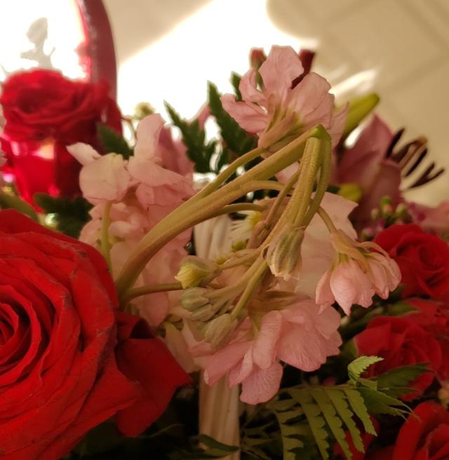 Park Square Florist - 1