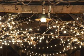 Heartwood Hall - 5