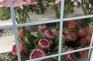 800ROSEBIG Wholesale Wedding Florist - 61