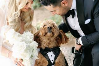 Wedding Tails- PET HANDLER - 11