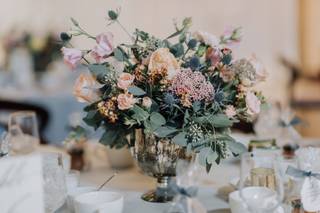 Liz Zimbelman Photography - 26