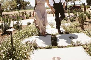 Captured by Amanda Lynn - 23