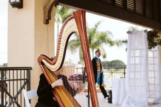 The Elegant Harp - 36