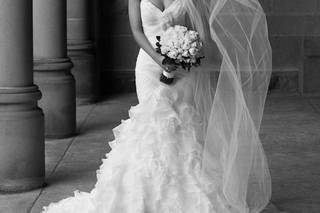 Susie Rostran Photography - 1