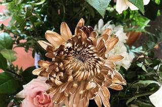 Weddings and Events by Diana Boucher - 7