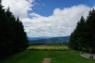 Gorge Crest Vineyards - 42