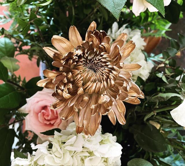 Weddings and Events by Diana Boucher - 4