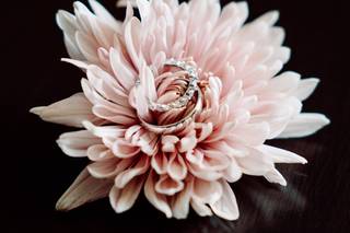 PHV Photo - 21