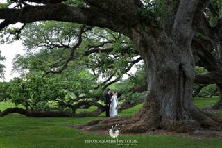 Oak Alley Plantation - 5