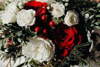 Anna Lowe Photography - 19