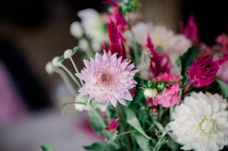 summer fresh flower farm - 9