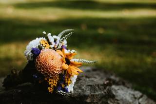 Luminance Photography - 7