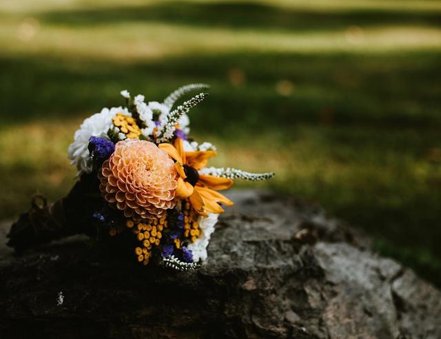 Luminance Photography - 1