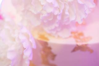 Fluffy Thoughts Cakes - 46