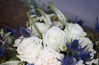 Marquise Photography - 7