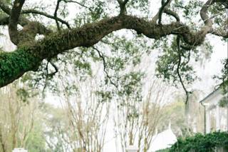 Lowcountry Trolley - 5