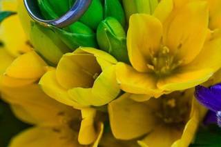 Bloom Flowers and Events - 1