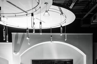 Living Tree Designs - 7
